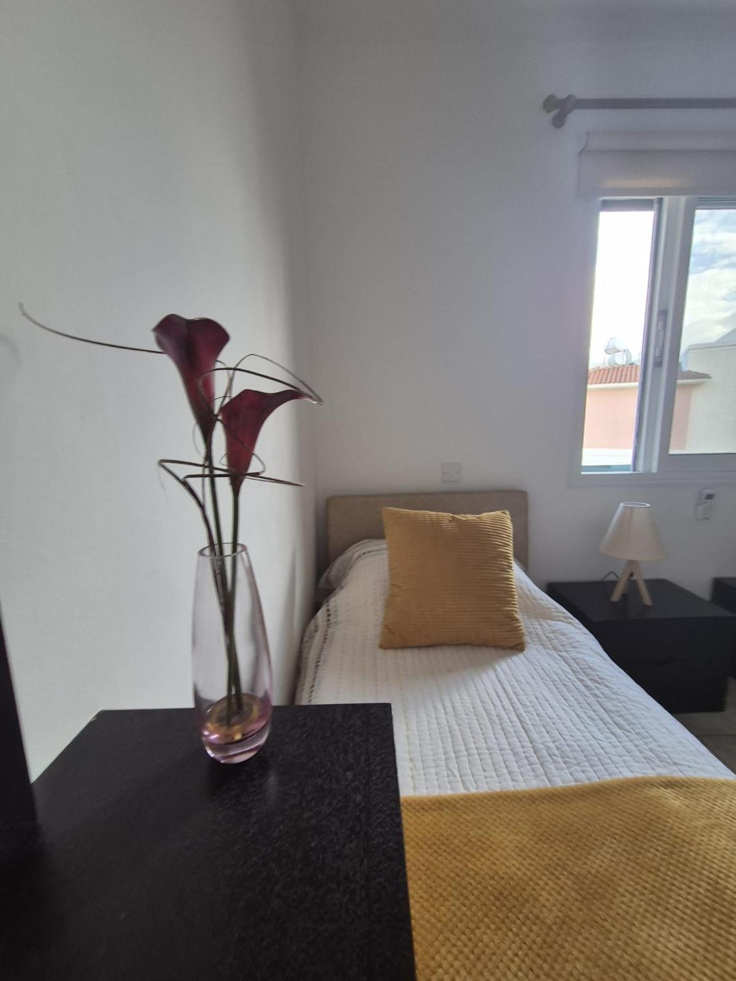 2 Bedroom Townhouse Lower Paphos Cyprus Hébergement de vacances